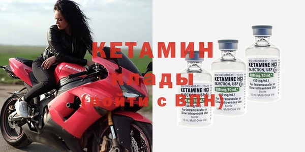 прущие грибы Наволоки