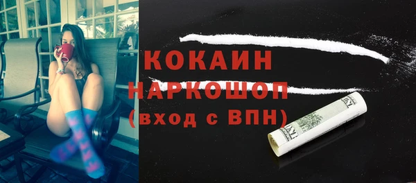 прущие грибы Наволоки