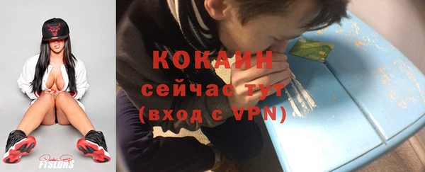 прущие грибы Наволоки