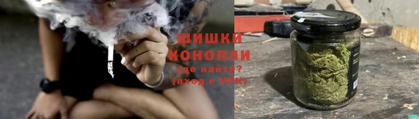 прущие грибы Наволоки