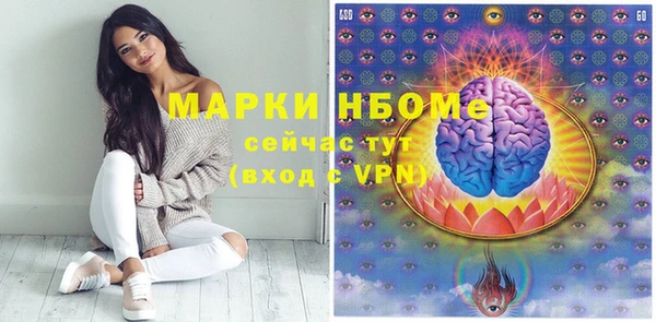 прущие грибы Наволоки