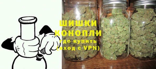 прущие грибы Наволоки