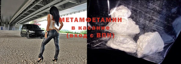 прущие грибы Наволоки