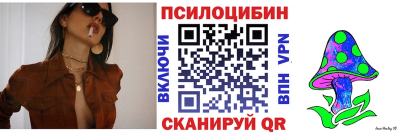 Галлюциногенные грибы GOLDEN TEACHER купить наркотики сайты Торжок